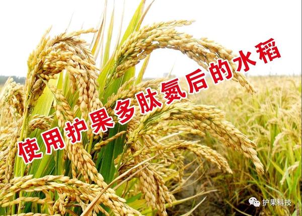 微信图片_20200615101525.jpg