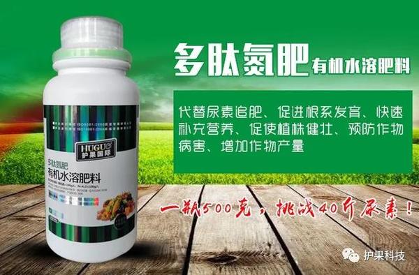 微信图片_20200615101118.jpg