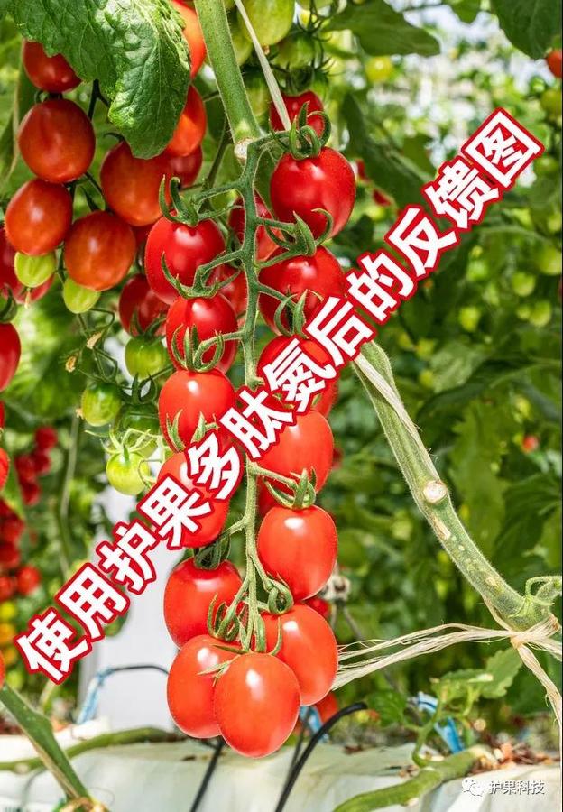 微信图片_20200615101133.jpg