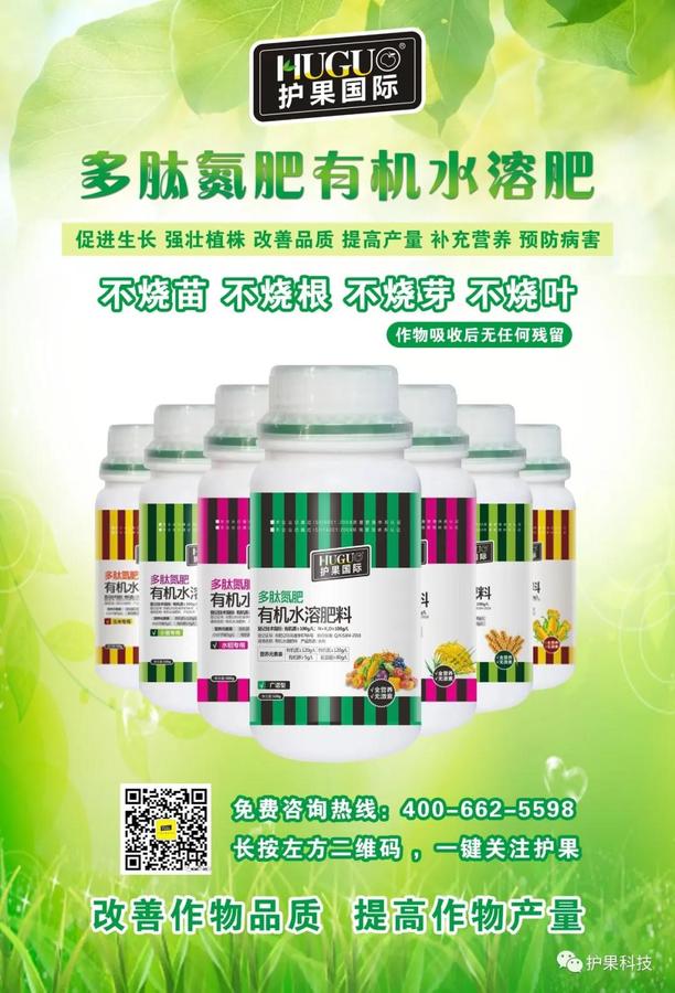 微信图片_20200615101126.jpg