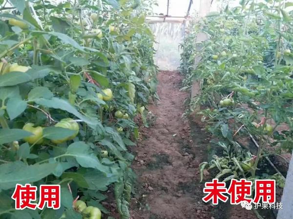微信图片_20200615101130.jpg