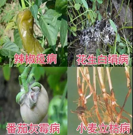 微信图片_20200930100706.jpg