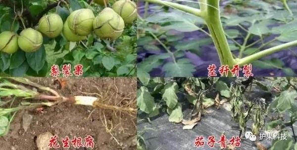 微信图片_20200930100703.jpg