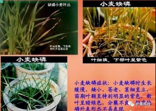 微信图片_20201121140607.jpg