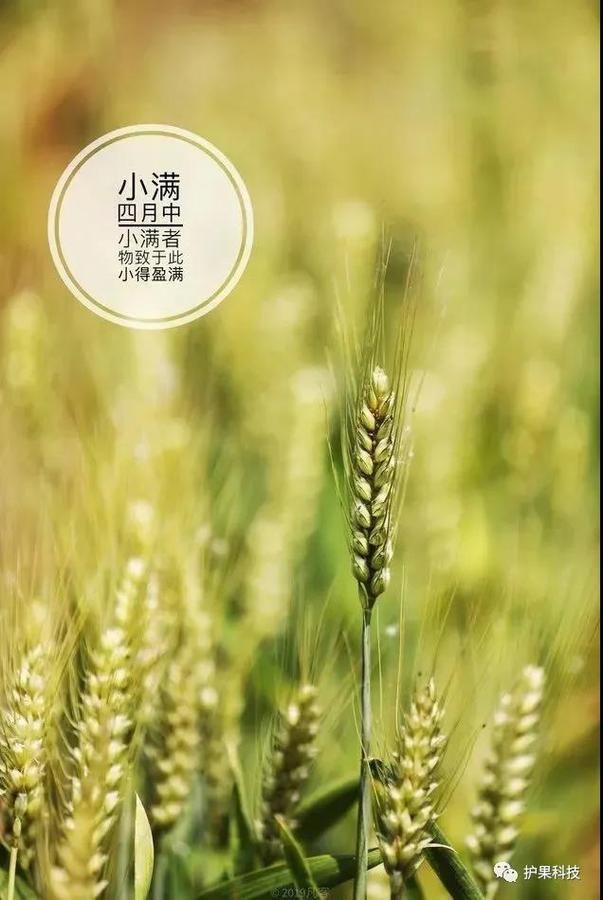 微信图片_20200520150544.jpg