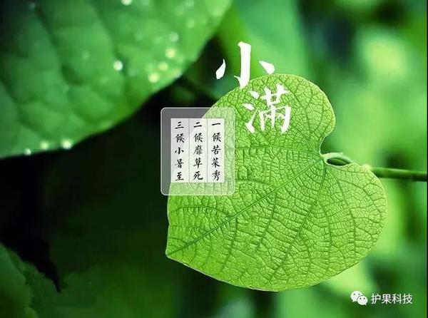 微信图片_20200520150559.jpg