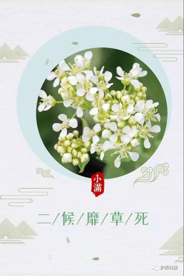 微信图片_20200520150553.jpg
