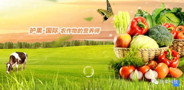 微信图片_20201111141927.jpg