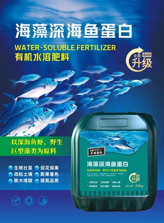 海藻深海鱼蛋白