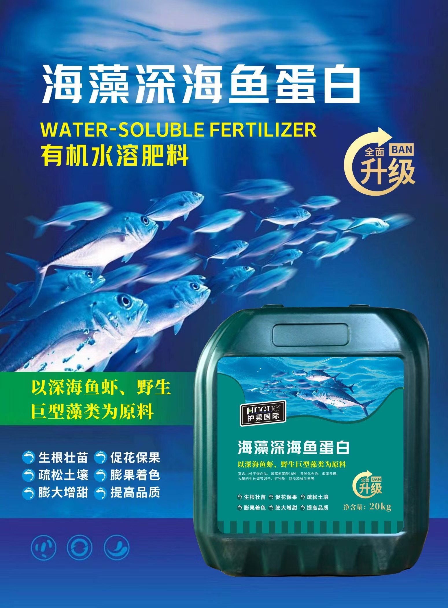 海藻深海鱼蛋白