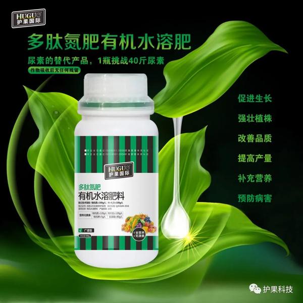 微信图片_20200803100822.jpg