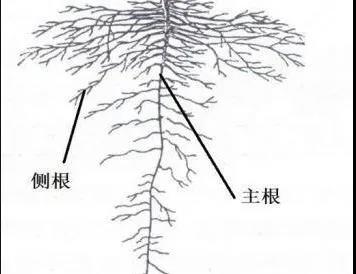 微信图片_20201218102541.jpg