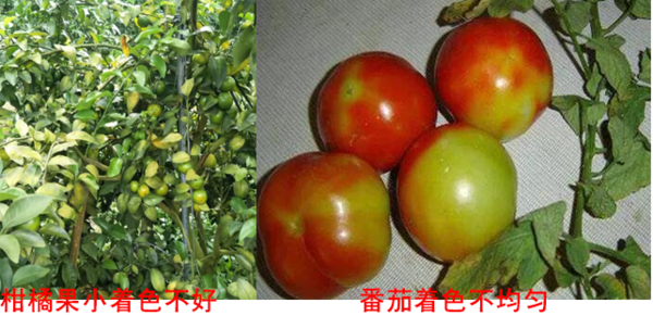 微信图片_20200707103005.png