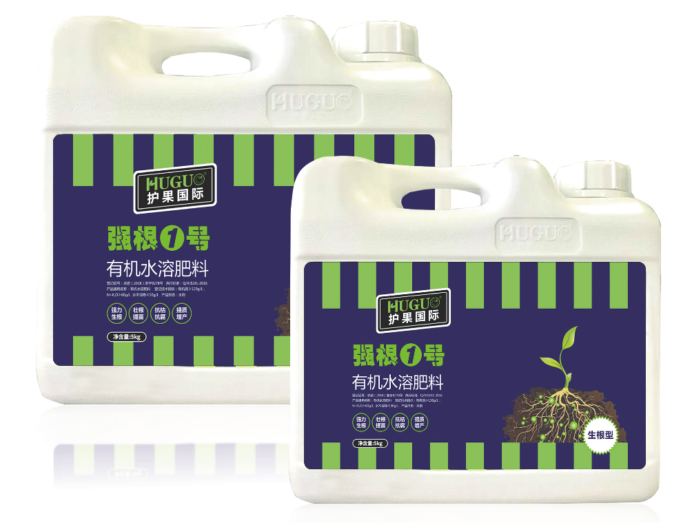 强根1号