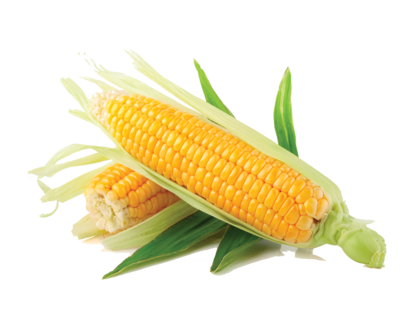 fe5f59e3a9c6b0861b795b850bc57268.png